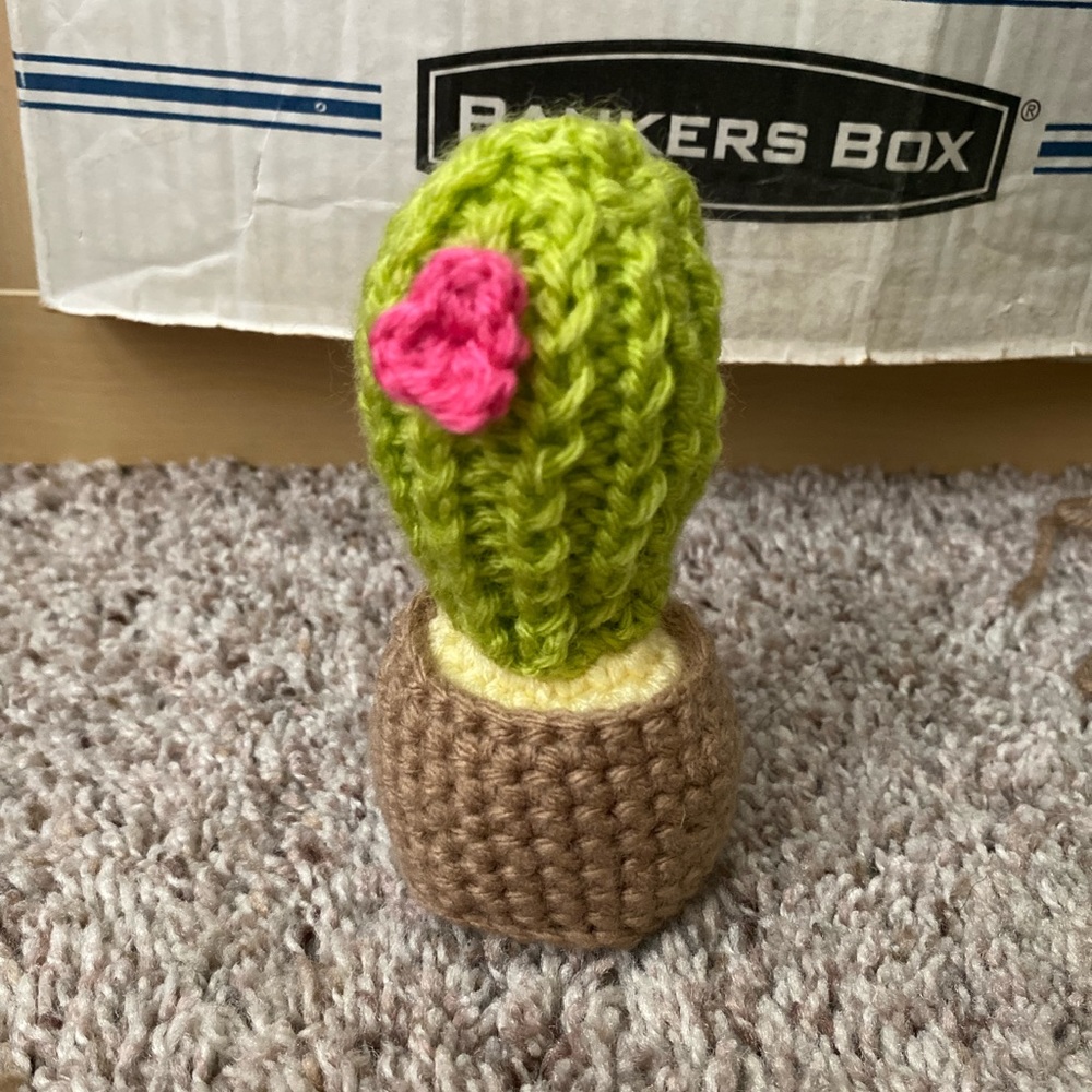 crochet and knit cactus